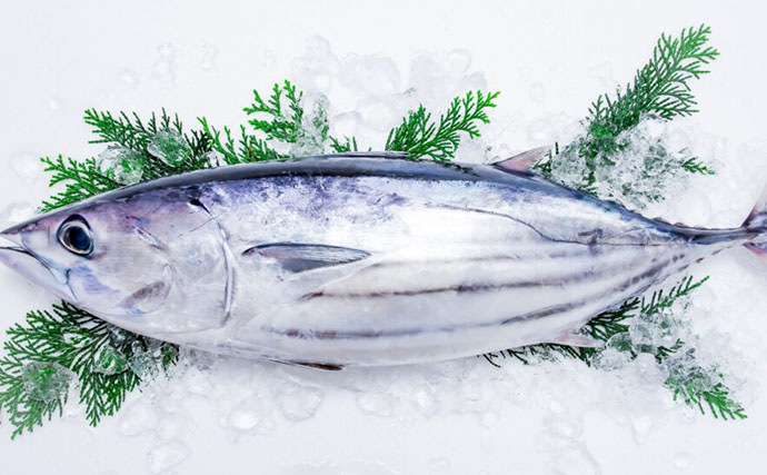 和食に欠かせない【かつお節の歴史】　カツオの身に旨味が凝縮される工程とは？