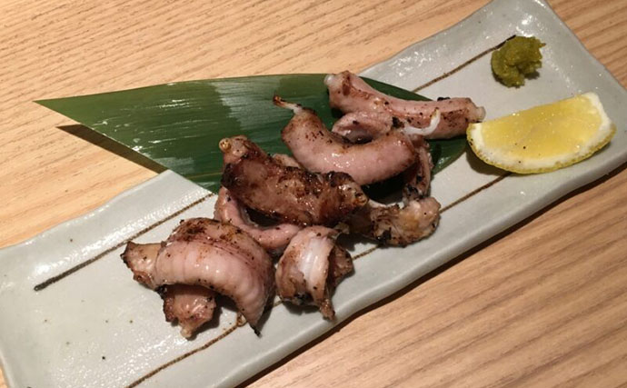 海底に生息する＜ヌタウナギ＞の生態が明らかに　寿命は長く繁殖効率は低かった？