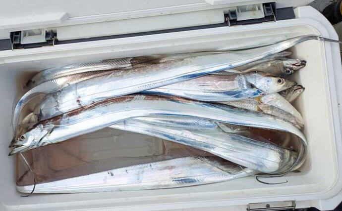 富山湾の深夜タチウオジギングで3人合計60匹超え！【シーアース】ゼブラグローが大当たり