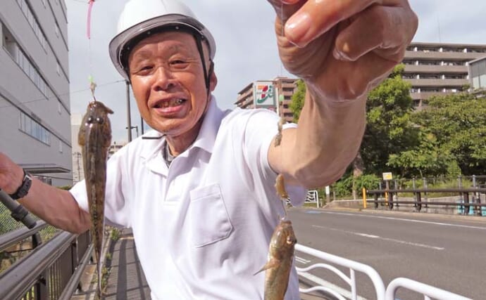 中の堀川のハゼ釣りで10cmを頭に24尾キャッチ【東京】午後の上げ潮狙いで連発