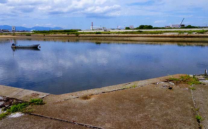 「16cmヒネハゼヒット！」楠漁港のちょい投げ釣りでハゼ24匹をキャッチ【三重】