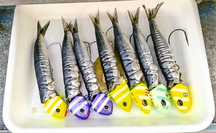 「指5本クラス浮上！」テンヤタチウオ釣りで良型3匹好捕【愛知】ゼブラ系テンヤが奏功