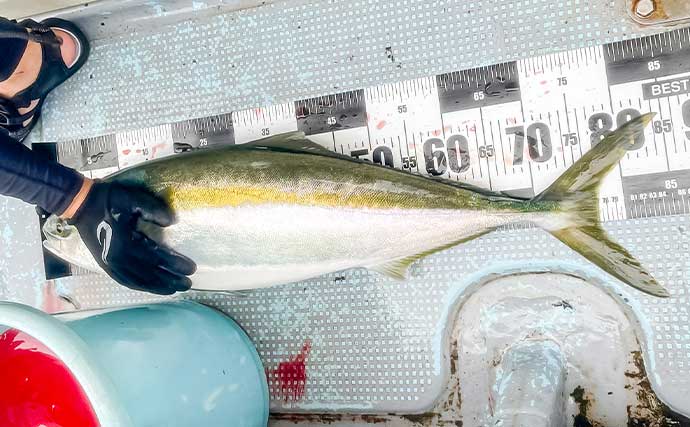 伊勢湾の青物ジギングで85cmブリを手中【愛知】マイワシパターン＆台風後の濁りにヒット集中