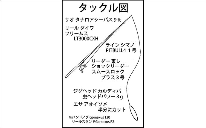 「短時間で五目達成！」紀北町・錦湾の夜釣りでアジ35匹＆クロサギも登場【三重】
