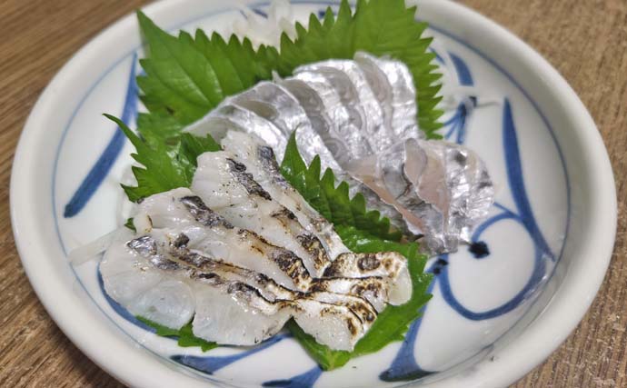 博多湾のテンヤタチウオ釣りで全員安打！【福岡】指6本ドラゴンも登場し50尾超えを達成