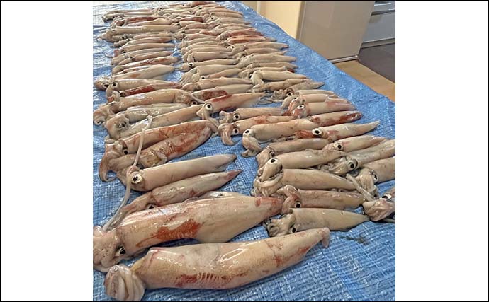 玄界灘の夜焚きイカメタルゲームでケンサキイカ3ケタ達成！【福岡】終盤は入れ食いで良型も連発