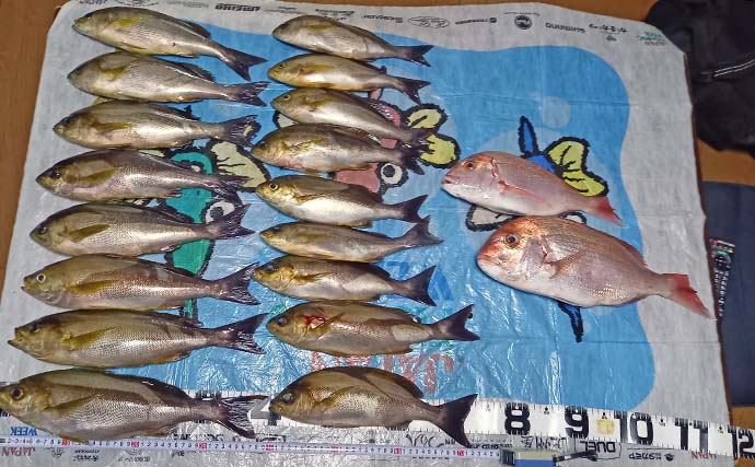 釣吉丸での五目釣りでイサキ17尾＆マダイ6尾手中【大分】船宿の手厚いサポートで船釣り満喫