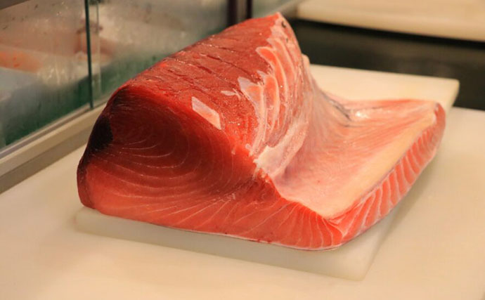 マグロの聖地『三崎』に行ってみた【神奈川】 神社もおみくじもグルメもマグロ尽くし？