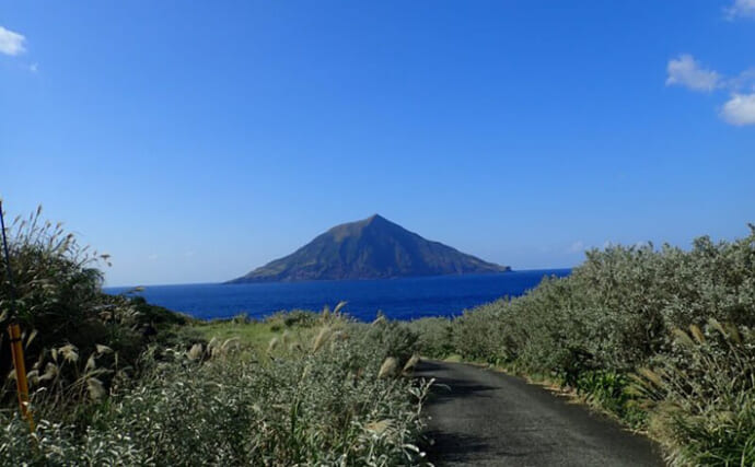 伊豆諸島で＜鳥類＞の多様性が低下していることが判明　捕食者の影響は海を越える？
