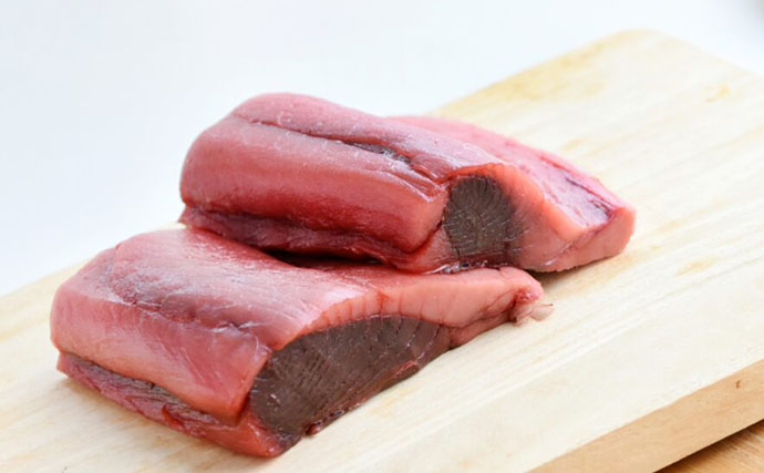 マグロの聖地『三崎』に行ってみた【神奈川】 神社もおみくじもグルメもマグロ尽くし？