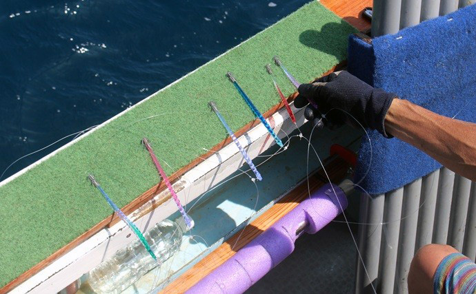 高性能リチウムイオンバッテリーがスルメイカ釣りを制す！鳥羽沖でスルメ船上干しがズラリ【三重】