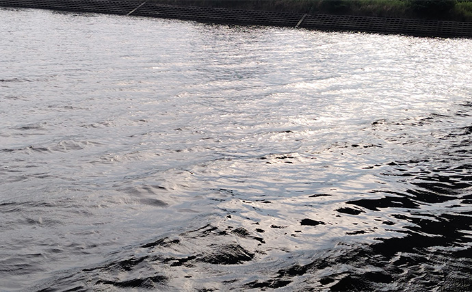 夏に魚を釣るポイントは「雨・風・水」にあり！ 無理せずスマートに釣ろう