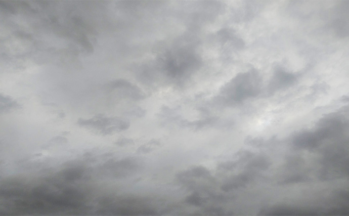 夏に魚を釣るポイントは「雨・風・水」にあり！ 無理せずスマートに釣ろう