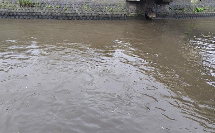 夏に魚を釣るポイントは「雨・風・水」にあり！ 無理せずスマートに釣ろう