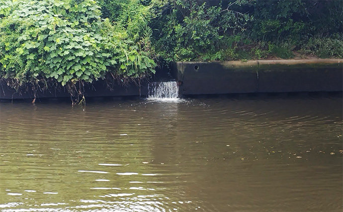 夏に魚を釣るポイントは「雨・風・水」にあり！ 無理せずスマートに釣ろう