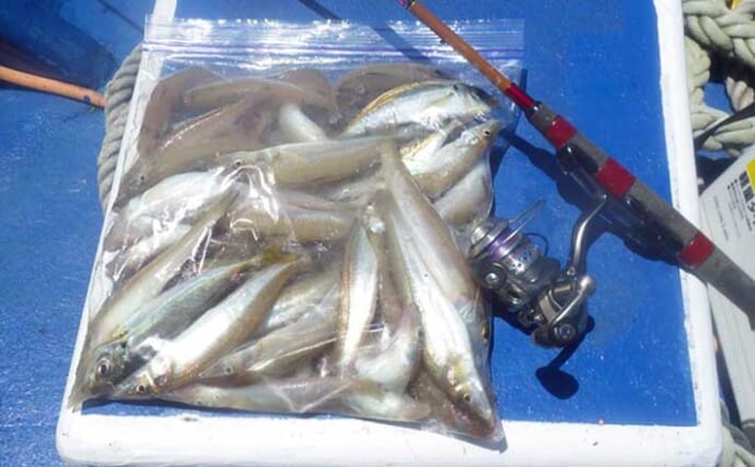 飯岡沖の船シロギス釣りでトップ92匹【千葉・隆生丸】朝方は食い渋りに苦戦