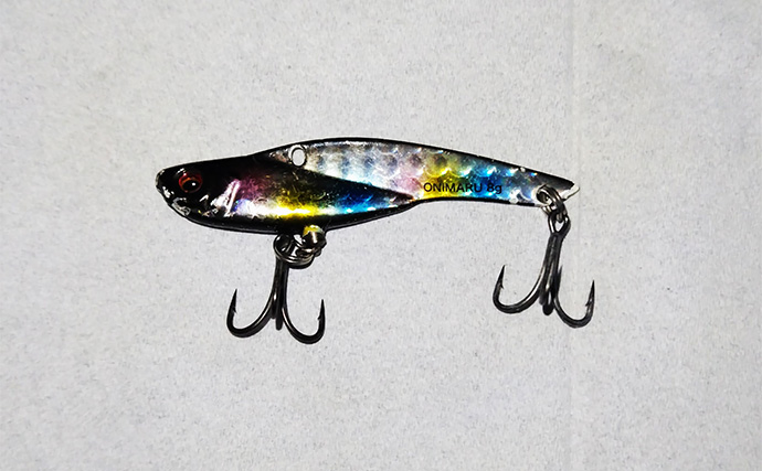 バイブレーションルアーで【狙ってボラを釣ろう！】 派手なカラーに好反応の傾向あり