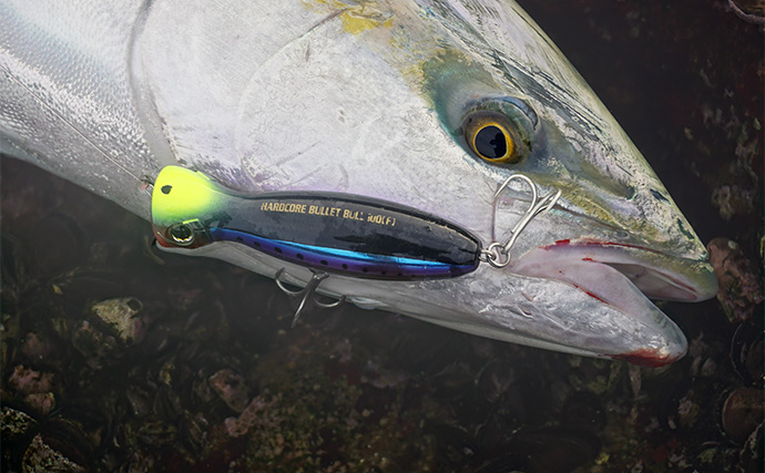 「爆飛びルアーで攻略！」トップで大型魚を狙う【ロックショアゲーム最前線】