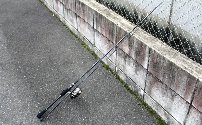 「都市河川のチニングに最適！」オリムピック『シルベラード』でキビレを攻略【福岡】