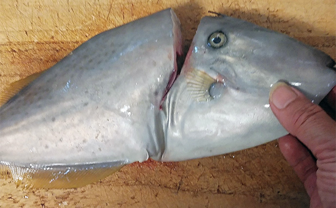 釣った魚で作る「簡単＆シンプル」レシピ：ウスバハギの白焼き　素材の味を活かそう