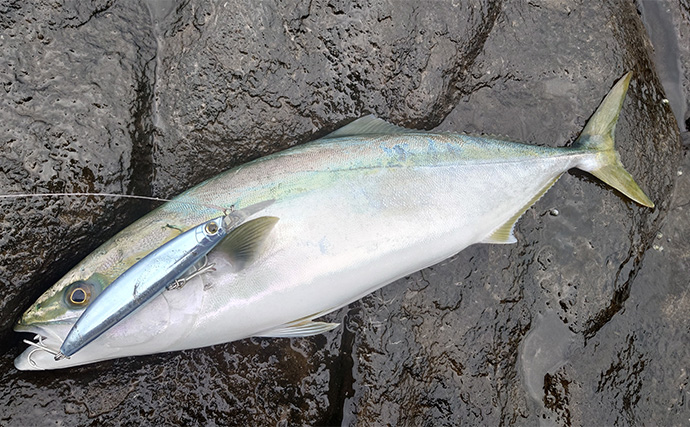 「爆飛びルアーで攻略！」トップで大型魚を狙う【ロックショアゲーム最前線】