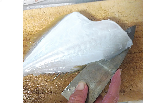 釣った魚で作る「簡単＆シンプル」レシピ：ウスバハギの白焼き　素材の味を活かそう