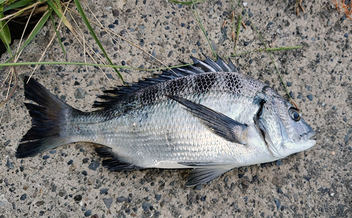 夏に魚を釣るポイントは「雨・風・水」にあり！ 無理せずスマートに釣ろう