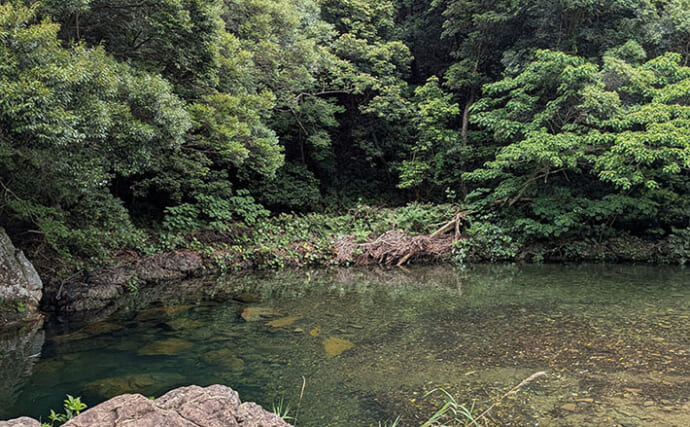 ＜五島列島流・超簡単川釣り＞のススメ　エサはどの家庭にもある食材でOK
