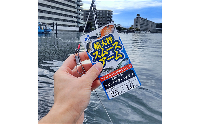 夏の東京湾「天秤」タチウオ釣り攻略法 【仕掛け・誘い方・アタリの出方を徹底解説】