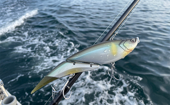 「1日で色んな釣りをしたい！」ガイド船で【シーバス・青物・タチウオ・マゴチ・キス】全て満喫してみた