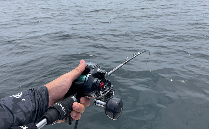 「1日で色んな釣りをしたい！」ガイド船で【シーバス・青物・タチウオ・マゴチ・キス】全て満喫してみた