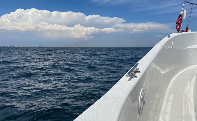 「1日で色んな釣りをしたい！」ガイド船で【シーバス・青物・タチウオ・マゴチ・キス】全て満喫してみた