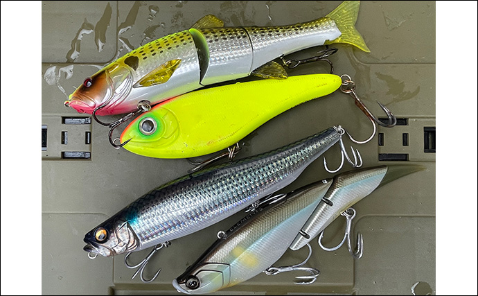 「1日で色んな釣りをしたい！」ガイド船で【シーバス・青物・タチウオ・マゴチ・キス】全て満喫してみた