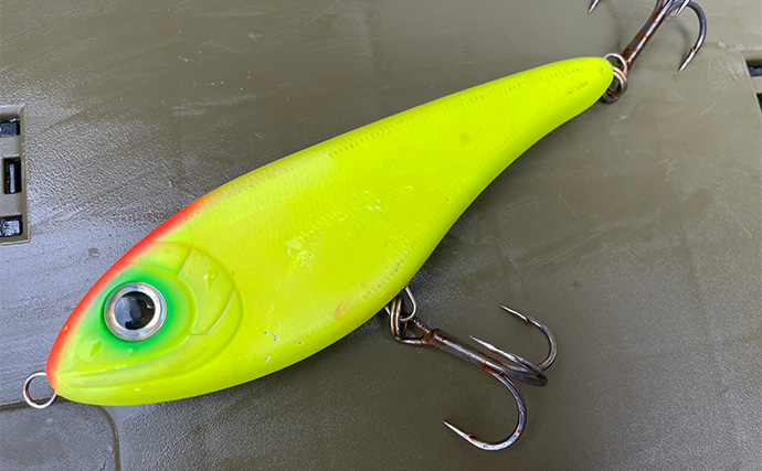 「1日で色んな釣りをしたい！」ガイド船で【シーバス・青物・タチウオ・マゴチ・キス】全て満喫してみた