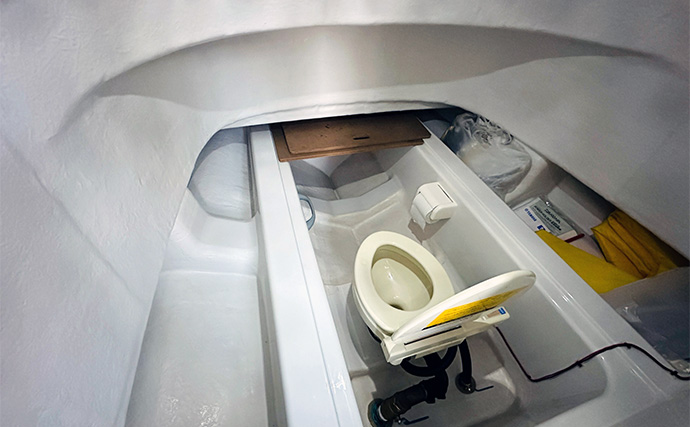 「1日で色んな釣りをしたい！」ガイド船で【シーバス・青物・タチウオ・マゴチ・キス】全て満喫してみた