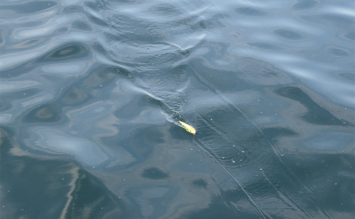 「1日で色んな釣りをしたい！」ガイド船で【シーバス・青物・タチウオ・マゴチ・キス】全て満喫してみた