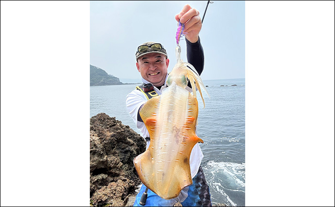 伊豆エリアの夏エギングで600g級アオリイカを手中【静岡】3.5号エギにヒット