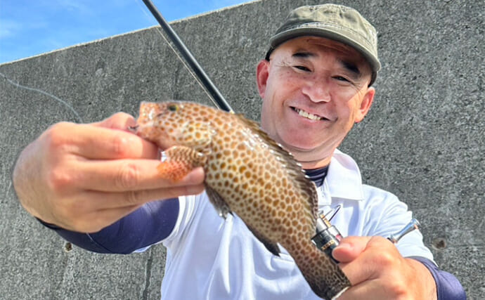 沼津の堤防でライトゲーム釣行【静岡】40cmソーダガツオやオオモンハタが連発