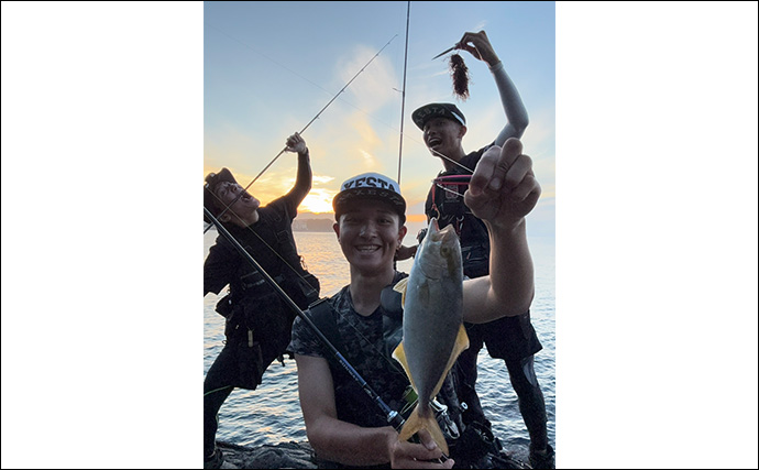 伊豆の陸っぱりルアー釣りで「青物・アカハタ・アオリイカ」と多魚種ヒット！【静岡】