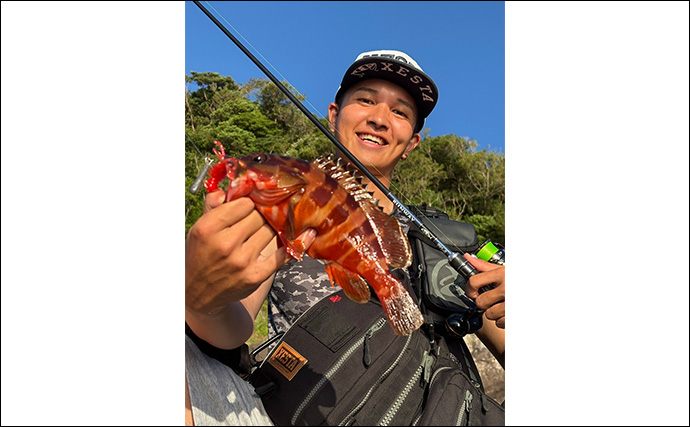 伊豆の陸っぱりルアー釣りで「青物・アカハタ・アオリイカ」と多魚種ヒット！【静岡】