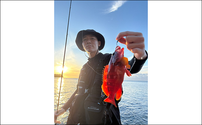 伊豆の陸っぱりルアー釣りで「青物・アカハタ・アオリイカ」と多魚種ヒット！【静岡】