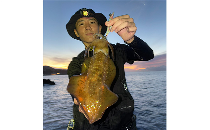 伊豆の陸っぱりルアー釣りで「青物・アカハタ・アオリイカ」と多魚種ヒット！【静岡】