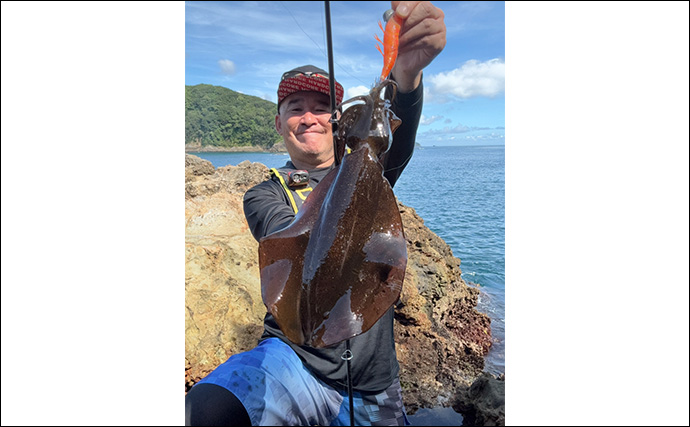 伊豆エリアの夏エギングで600g級アオリイカを手中【静岡】3.5号エギにヒット