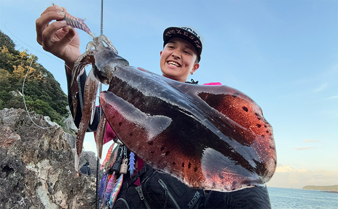 伊豆エリアの夏エギングで600g級アオリイカを手中【静岡】3.5号エギにヒット