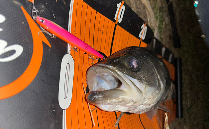 「たかがスナップされどスナップ！」シーバスゲームにおけるスナップの重要性と選び方を解説