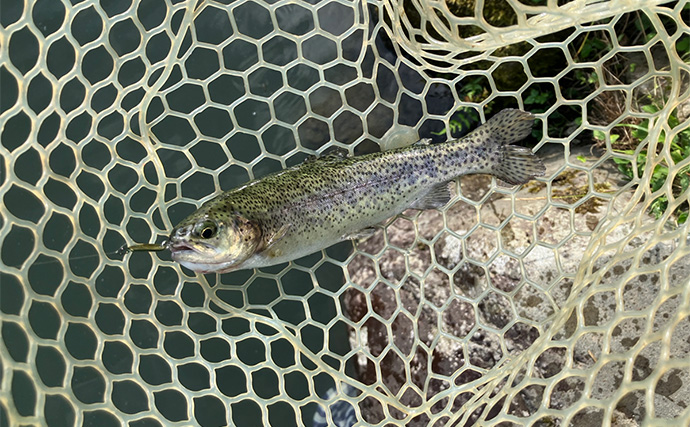 「釣魚の鮮度は全力で守る！」管理釣り場で釣ったニジマスを真空保存で持ち帰ってみた【東京】