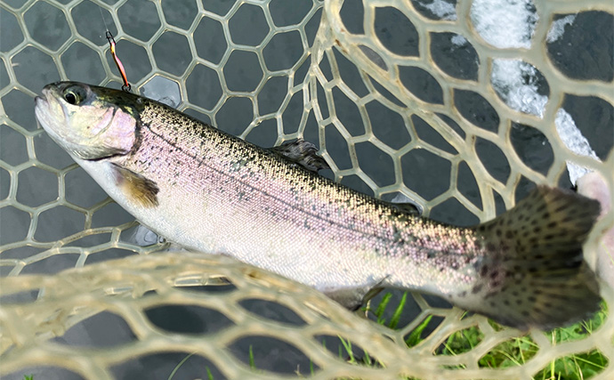 「釣魚の鮮度は全力で守る！」管理釣り場で釣ったニジマスを真空保存で持ち帰ってみた【東京】