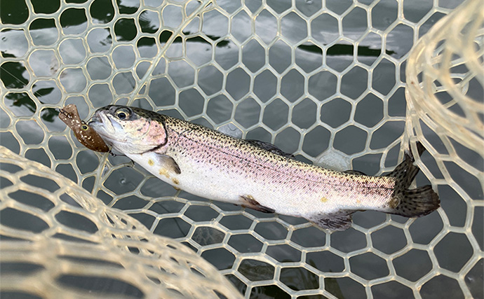 「釣魚の鮮度は全力で守る！」管理釣り場で釣ったニジマスを真空保存で持ち帰ってみた【東京】