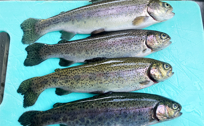 「釣魚の鮮度は全力で守る！」管理釣り場で釣ったニジマスを真空保存で持ち帰ってみた【東京】