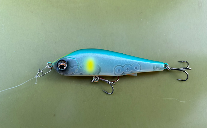 「たかがスナップされどスナップ！」シーバスゲームにおけるスナップの重要性と選び方を解説